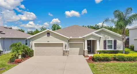 32176 Goddard Drive Wesley Chapel FL 33543