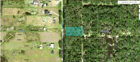 Oconner Road Kathleen FL 33849