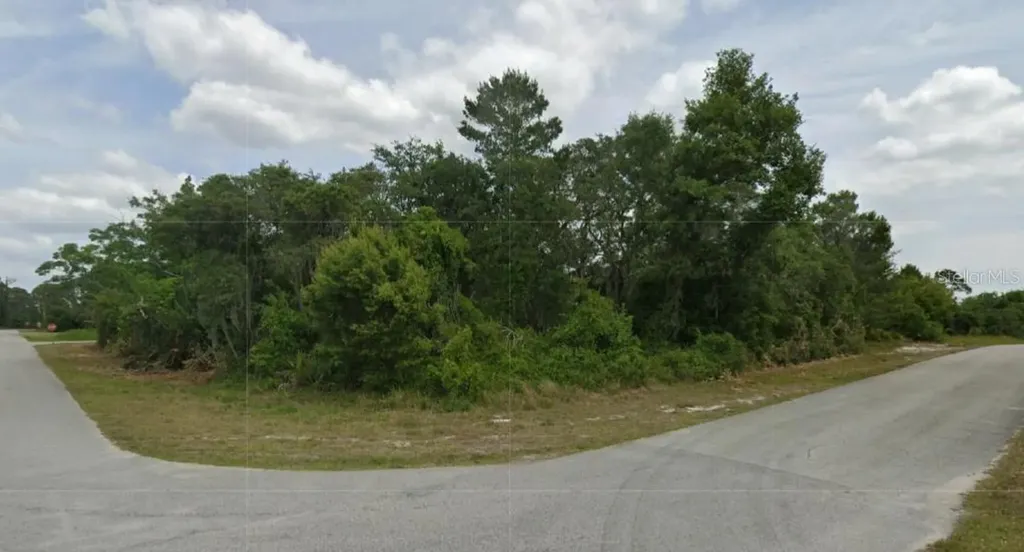430 Grant Avenue NE Lake Placid FL 33852