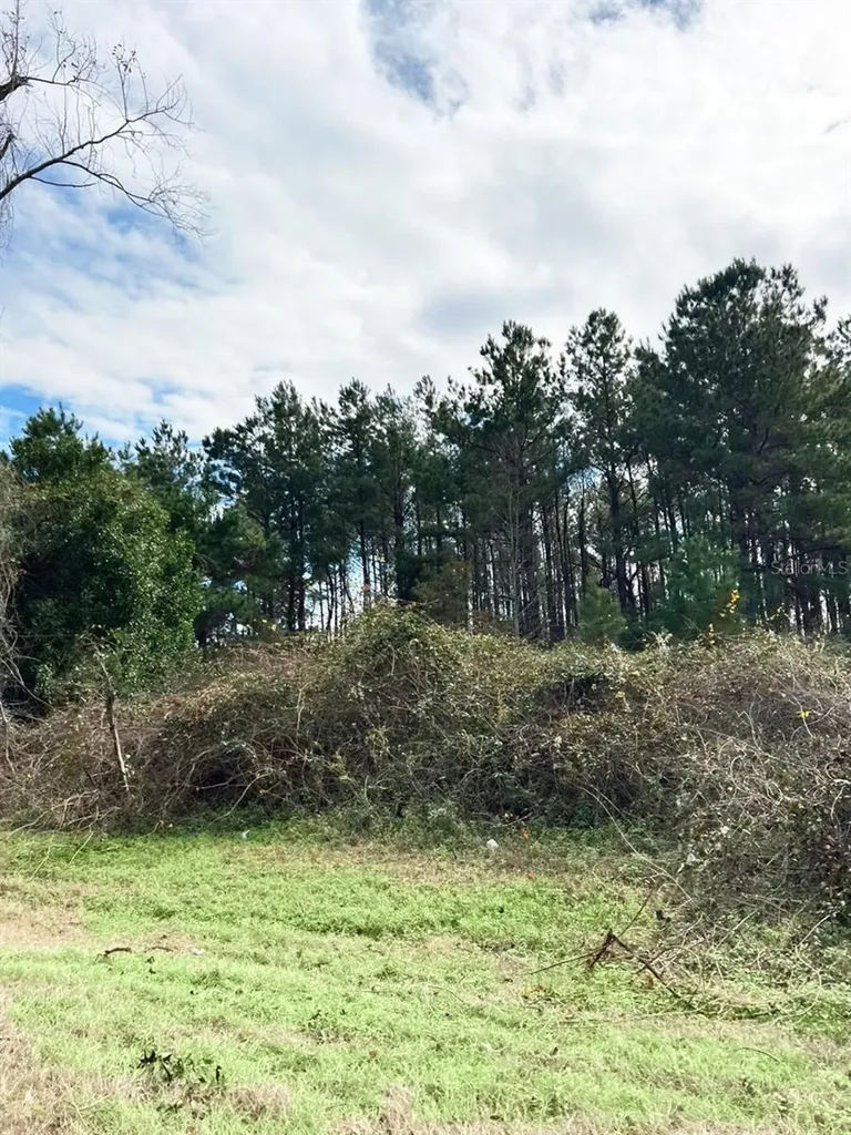 00 SW Cr 249 Jasper FL 32052