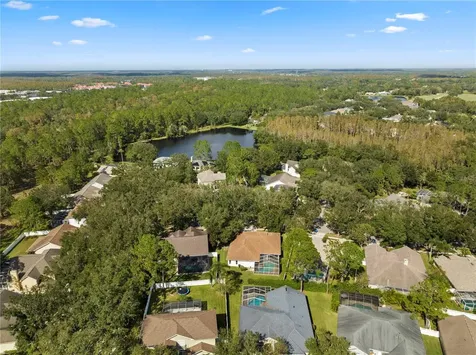 17303 Lockwood Ridge Drive Tampa FL 33647