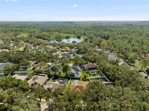 17303 Lockwood Ridge Drive Tampa FL 33647