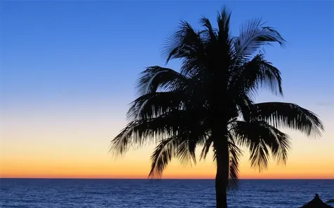 5941 Gulf Of Mexico Drive Longboat Key FL 34228