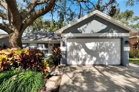 2004 Rudder Drive Valrico FL 33594