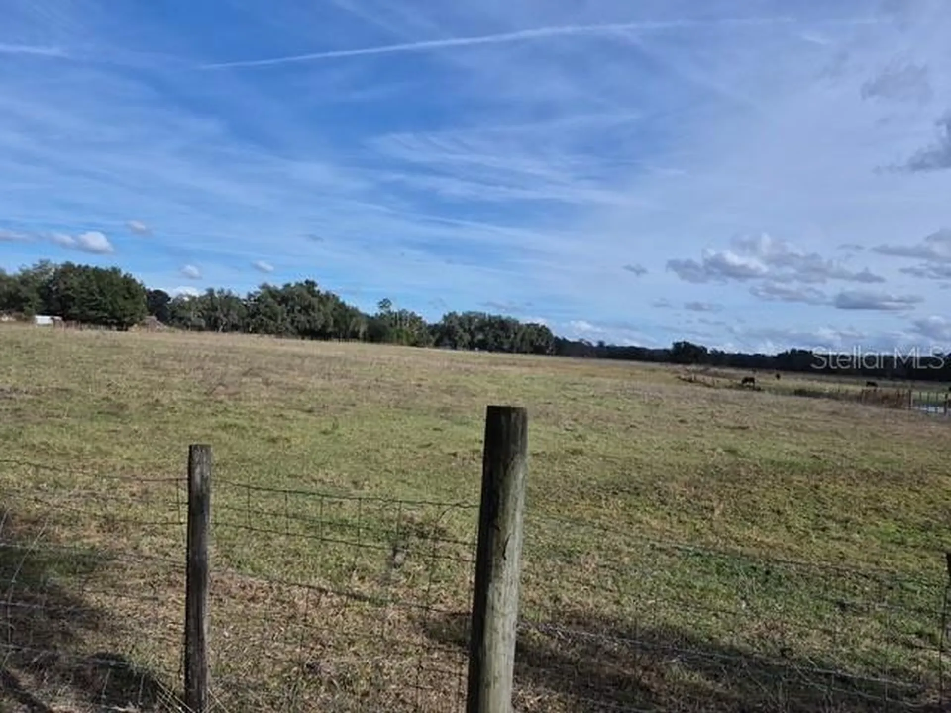 0 Cr 755 Webster FL 33597