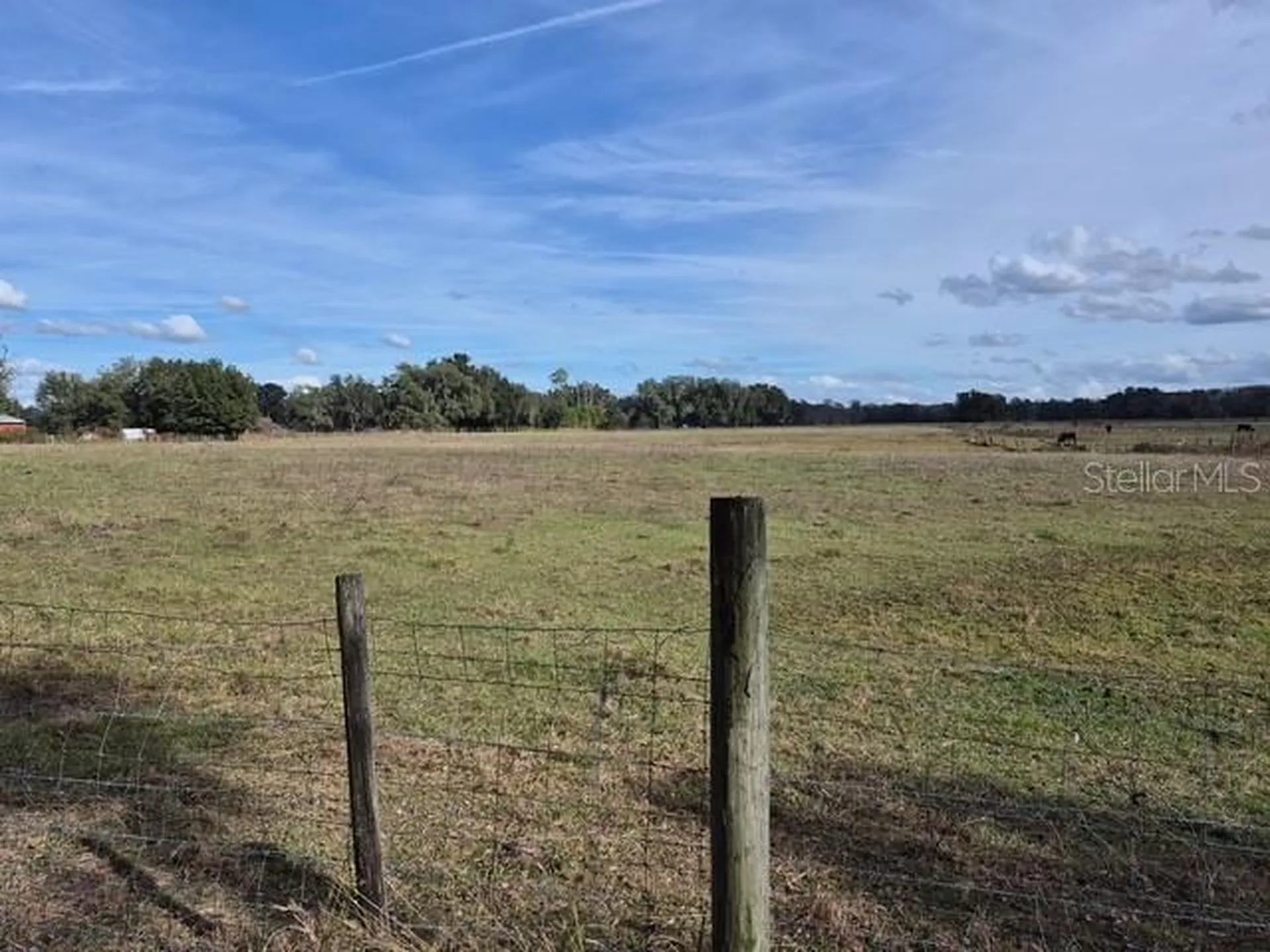 0 Cr 755 Webster FL 33597