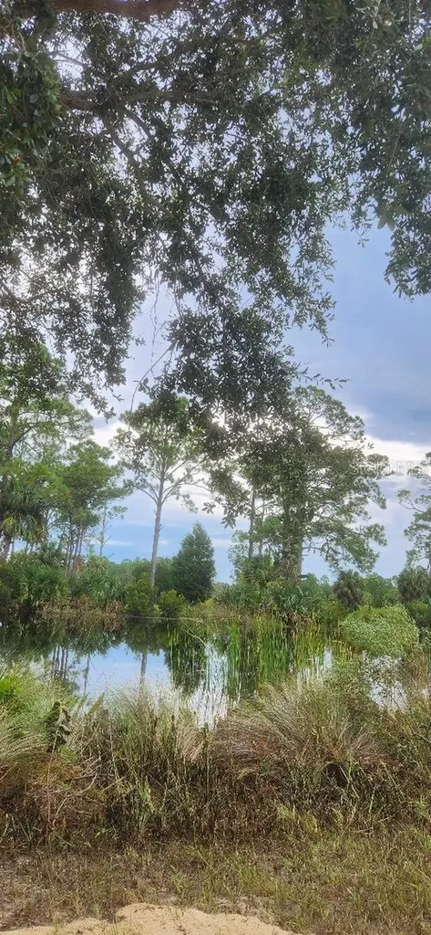 Lot 7 SW 104 Street Cedar Key FL 32625