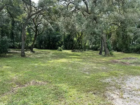 4817 Cr 686 Webster FL 33597