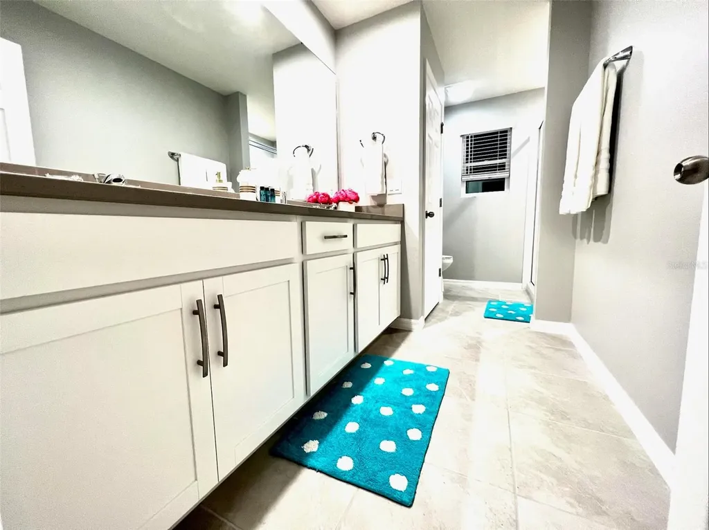 2104 Fleming Mist Place Kissimmee FL 34747