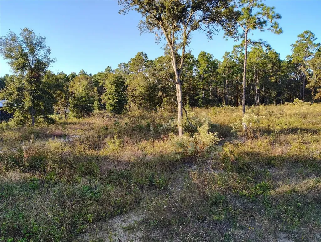 Dunnellon FL 34432