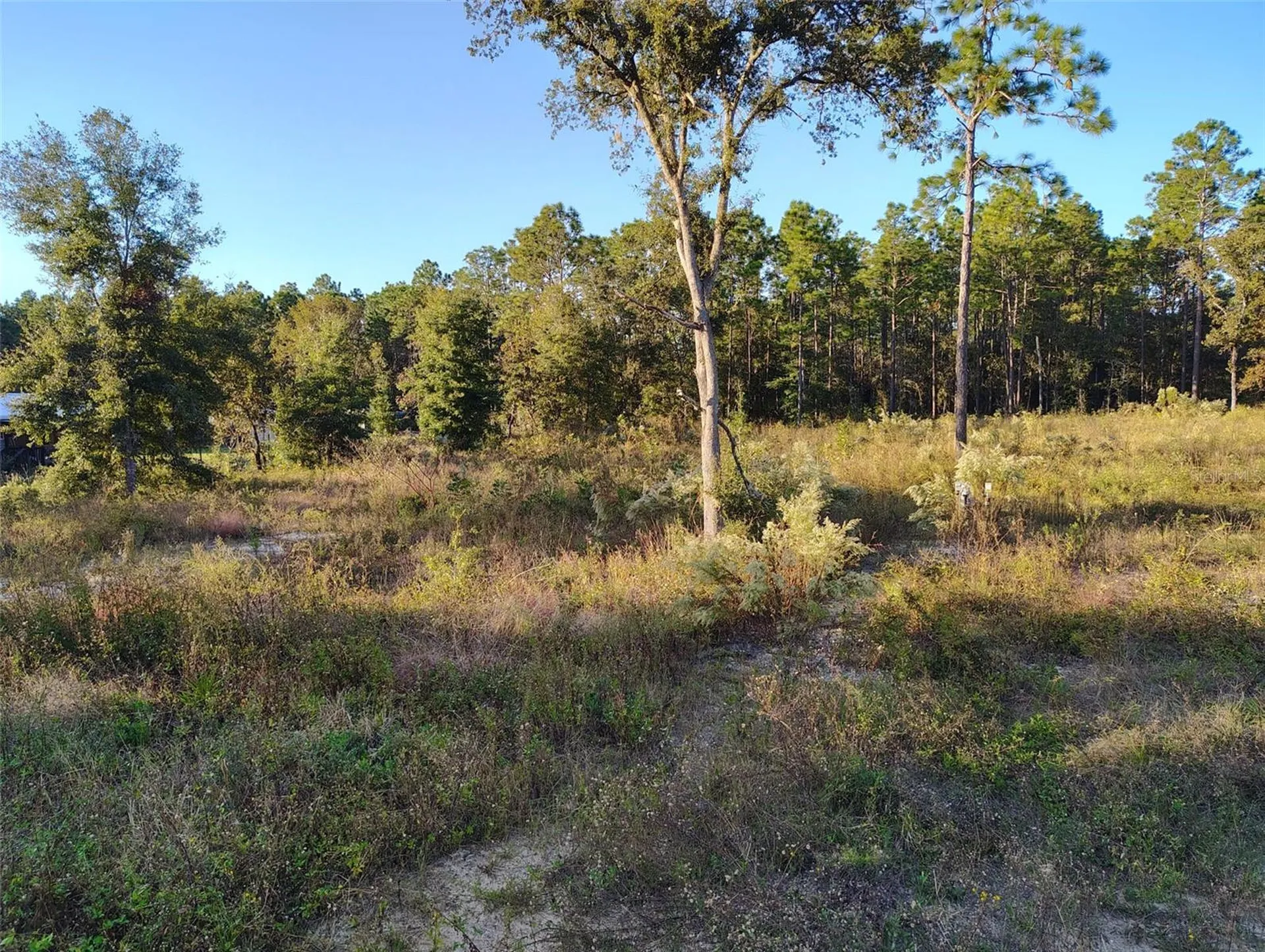 Dunnellon FL 34432