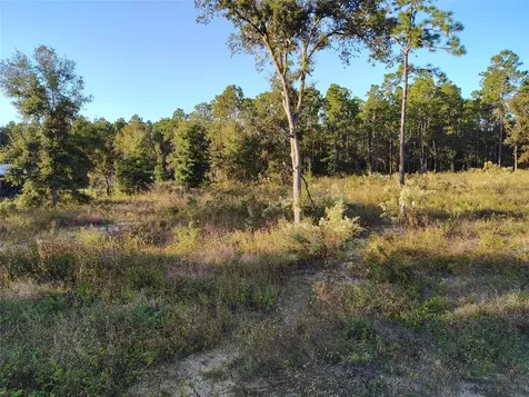 Dunnellon FL 34432