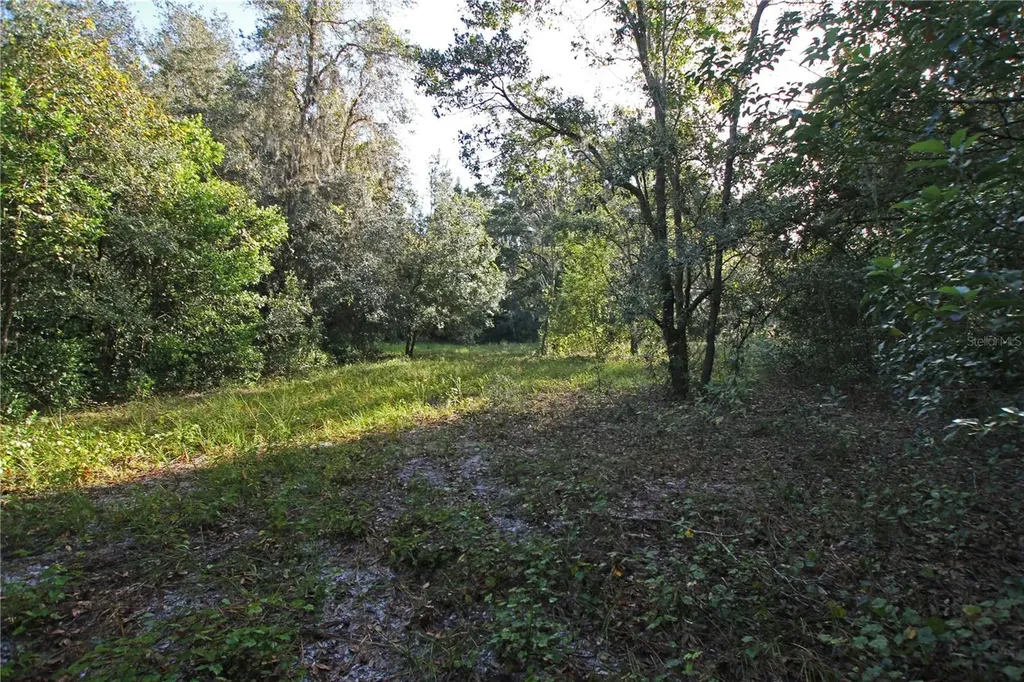0 Patricia Drive Bartow FL 33830