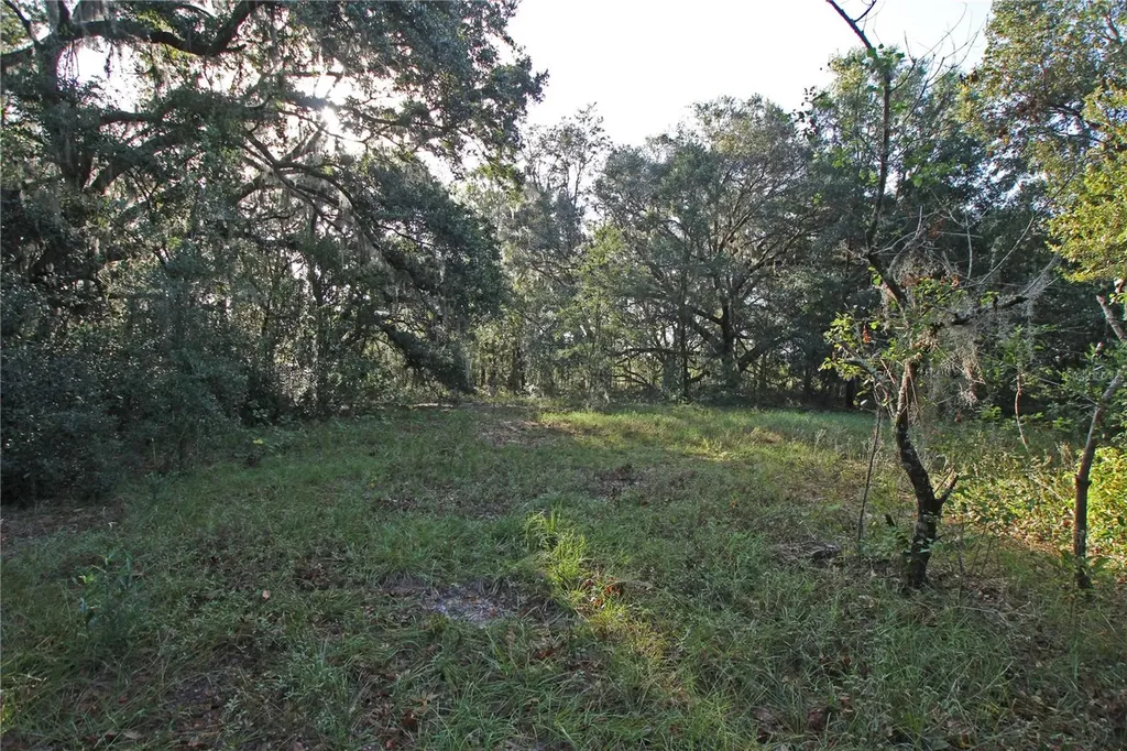 0 Patricia Drive Bartow FL 33830