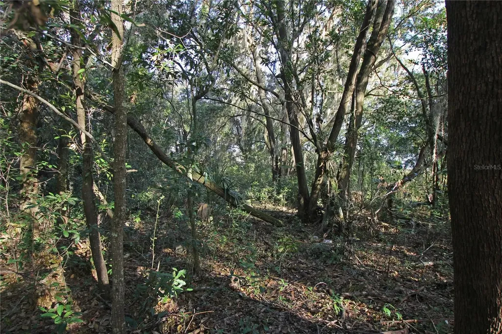 0 Patricia Drive Bartow FL 33830