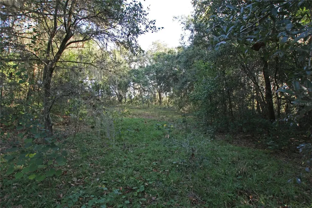 0 Patricia Drive Bartow FL 33830
