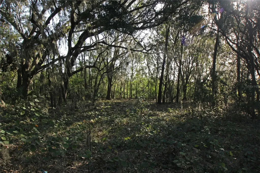0 Patricia Drive Bartow FL 33830