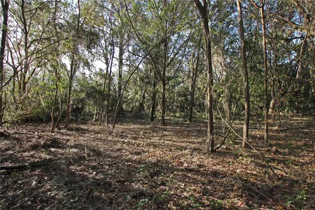 0 Patricia Drive Bartow FL 33830