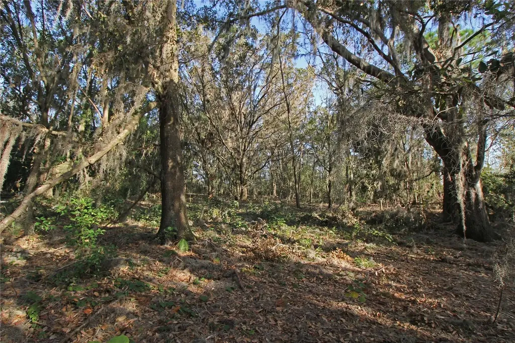 0 Patricia Drive Bartow FL 33830