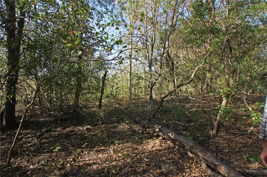 0 Patricia Drive Bartow FL 33830