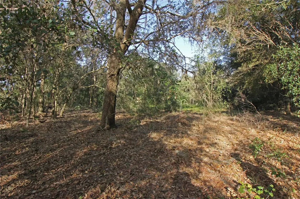 0 Patricia Drive Bartow FL 33830