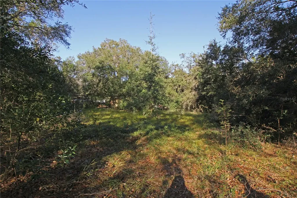 0 Patricia Drive Bartow FL 33830