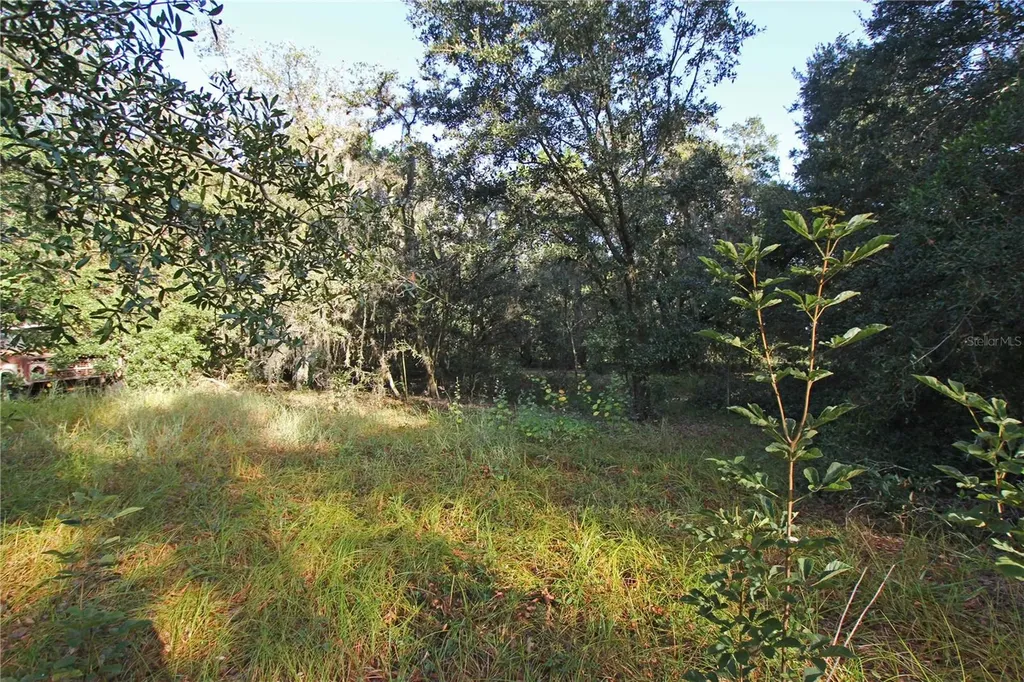 0 Patricia Drive Bartow FL 33830