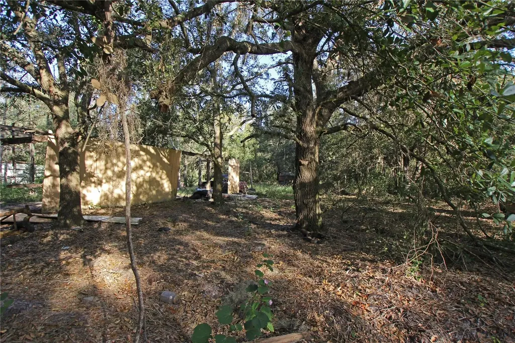 0 Patricia Drive Bartow FL 33830