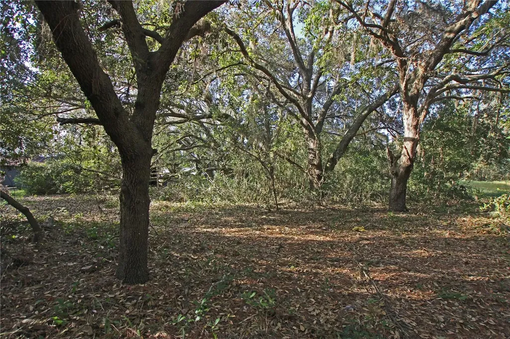 0 Patricia Drive Bartow FL 33830