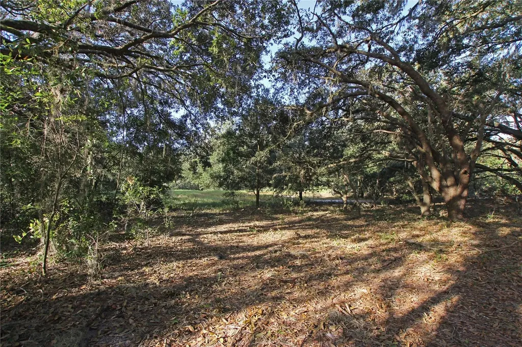 0 Patricia Drive Bartow FL 33830