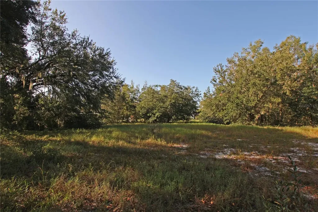0 Patricia Drive Bartow FL 33830