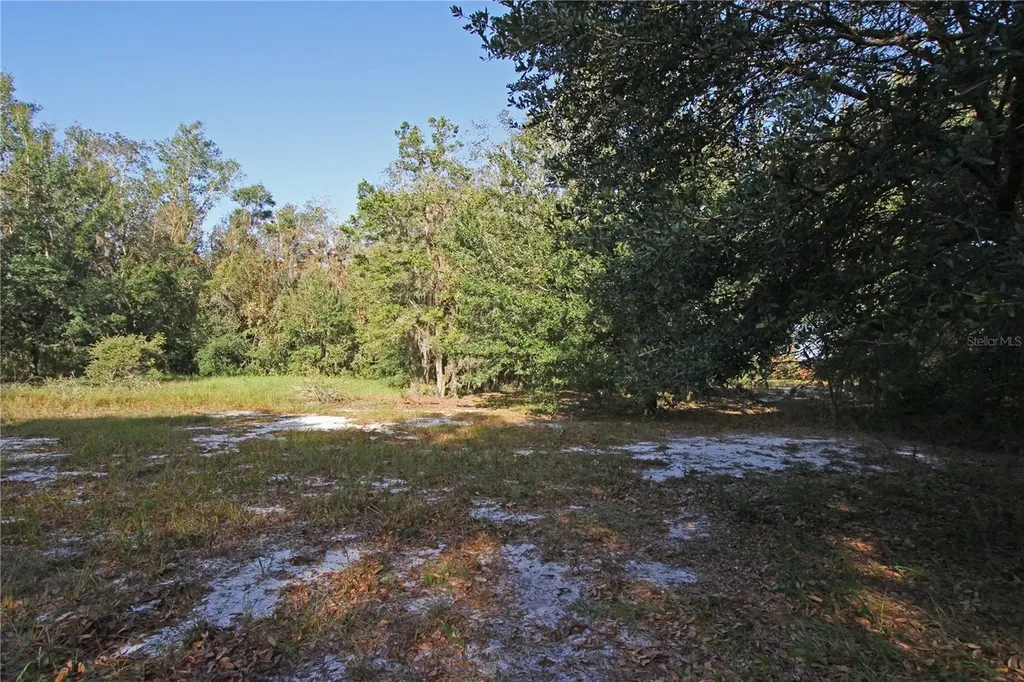 0 Patricia Drive Bartow FL 33830