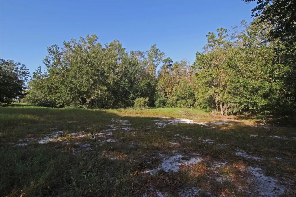 0 Patricia Drive Bartow FL 33830