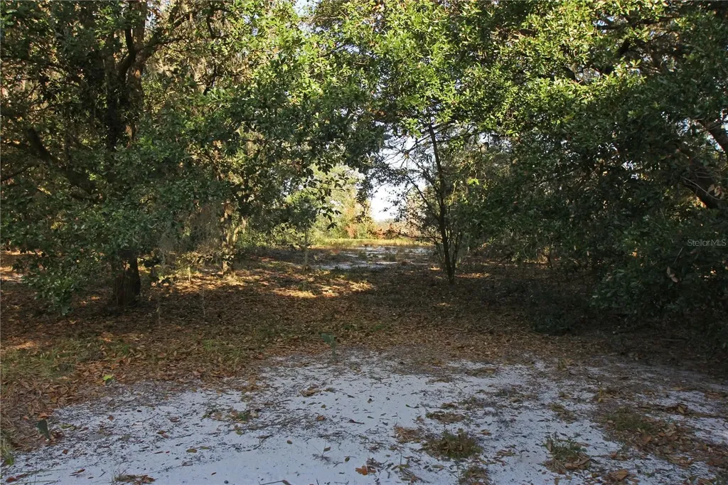 0 Patricia Drive Bartow FL 33830