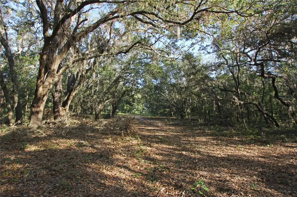 0 Patricia Drive Bartow FL 33830