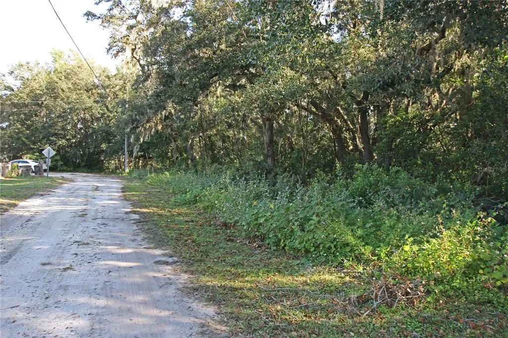0 Patricia Drive Bartow FL 33830