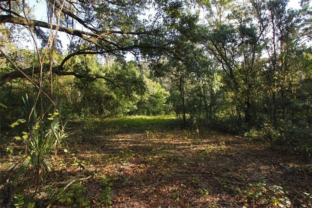 0 Patricia Drive Bartow FL 33830