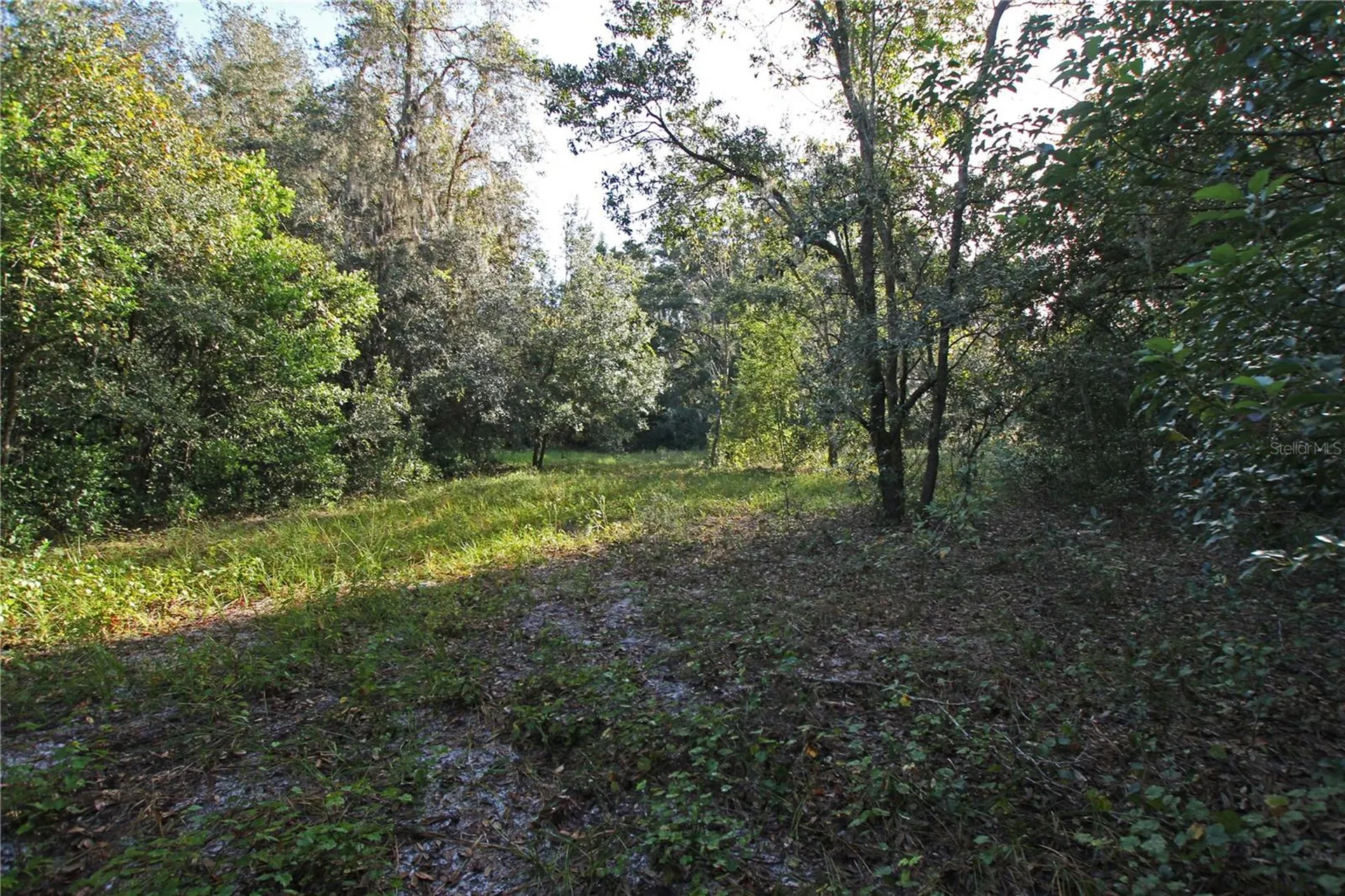 0 Patricia Drive Bartow FL 33830