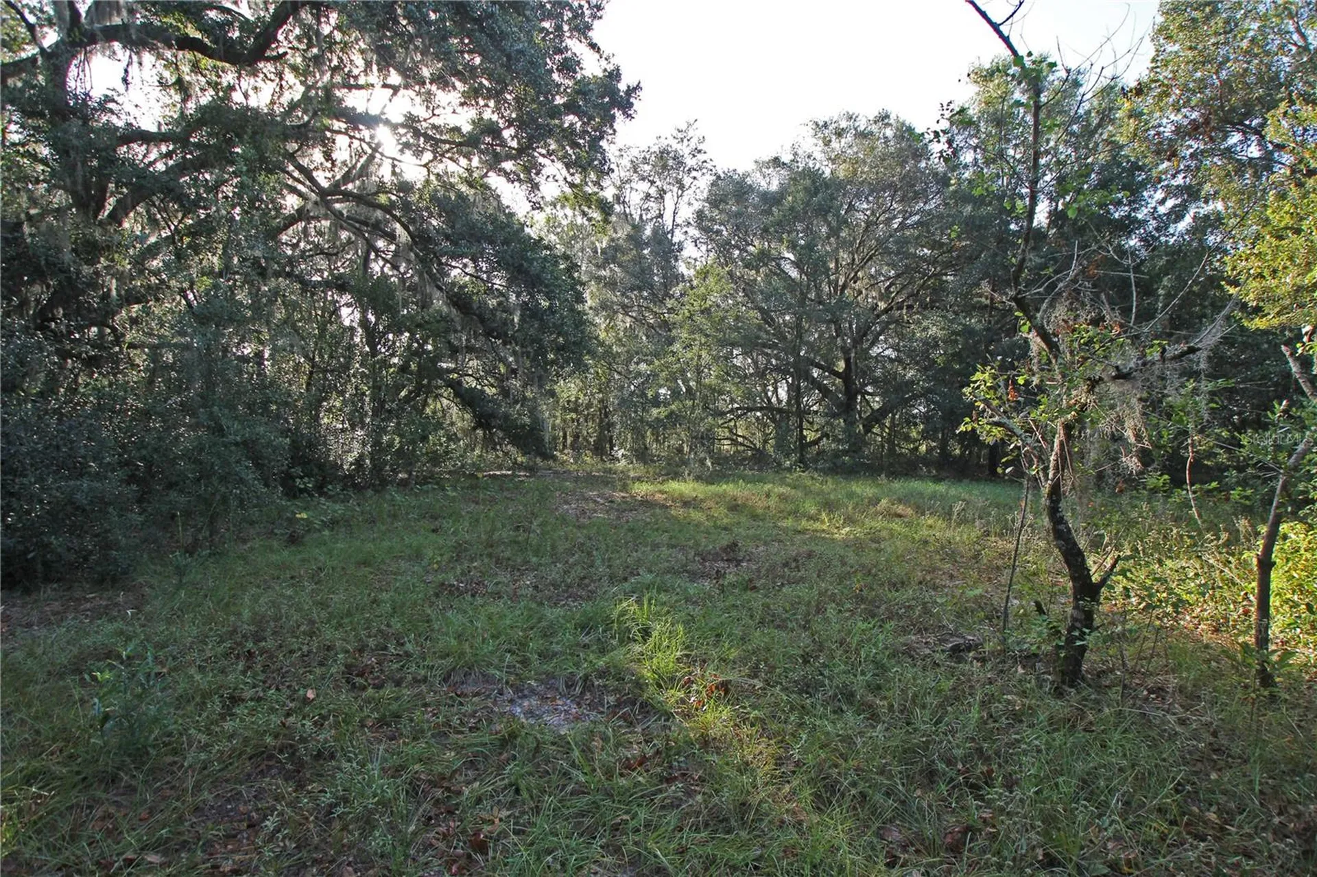 0 Patricia Drive Bartow FL 33830