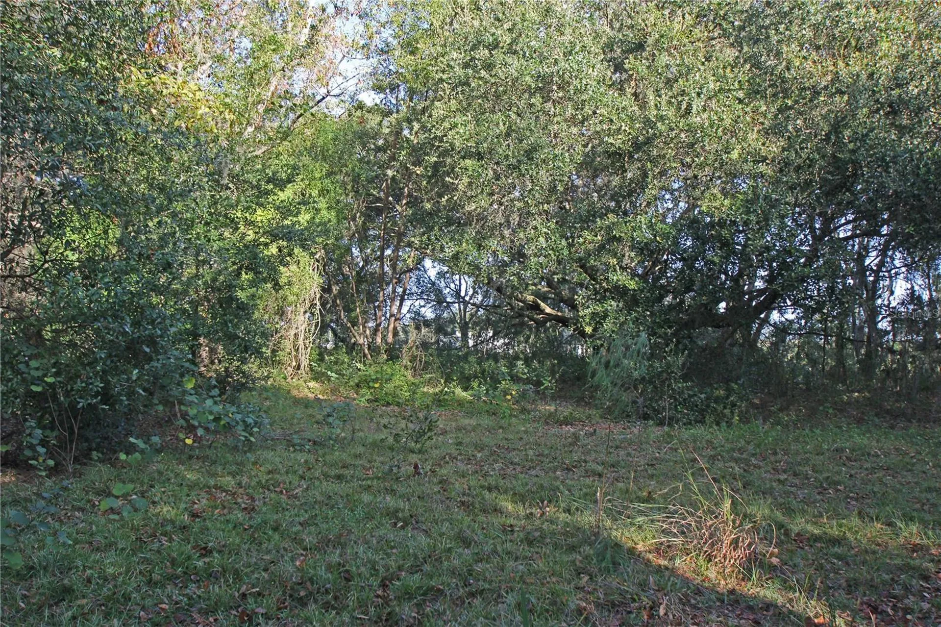 0 Patricia Drive Bartow FL 33830