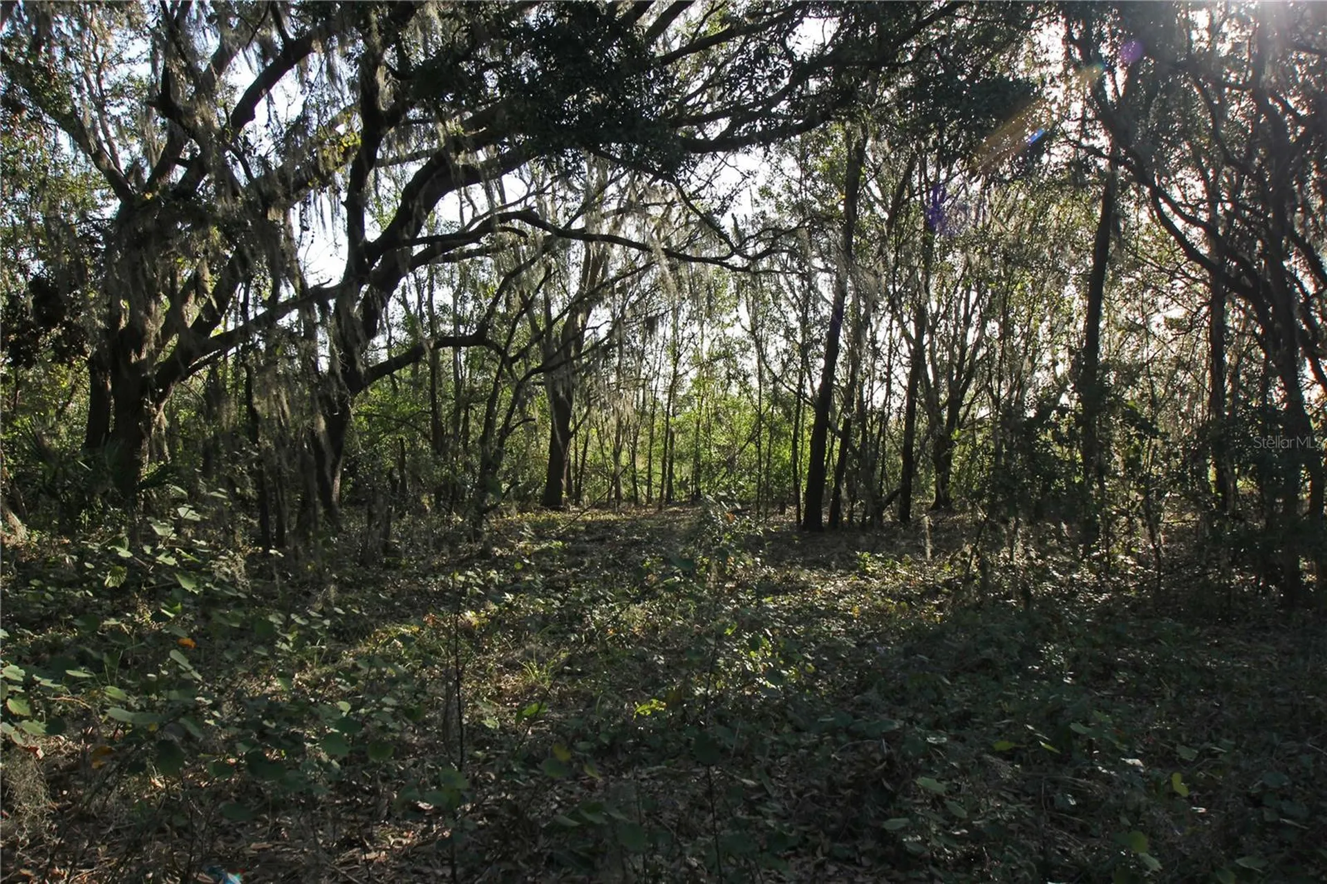 0 Patricia Drive Bartow FL 33830