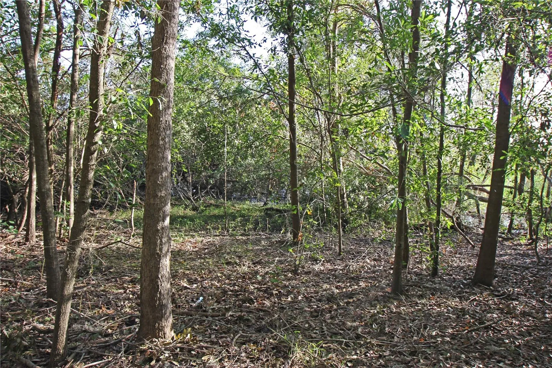 0 Patricia Drive Bartow FL 33830
