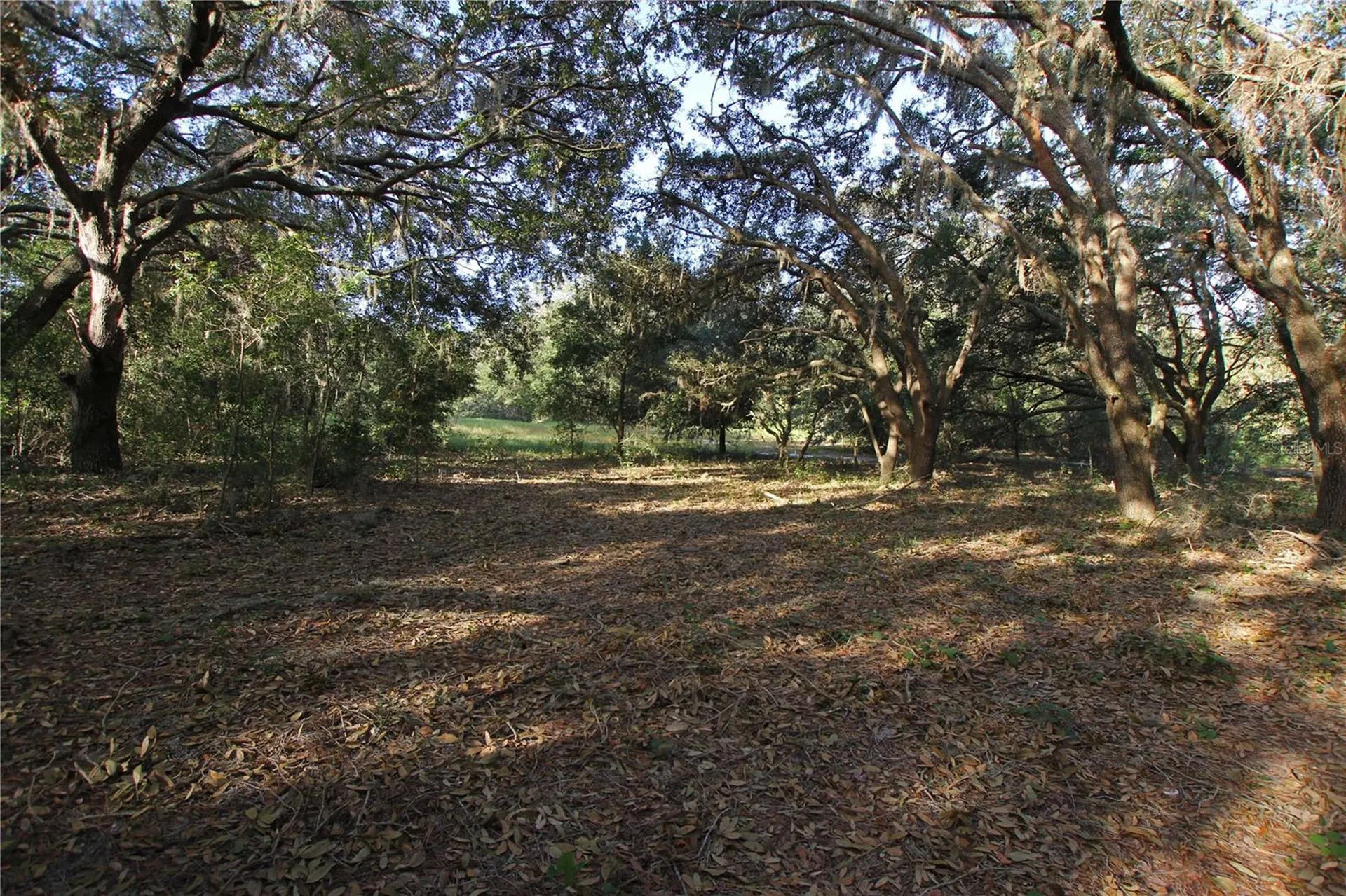 0 Patricia Drive Bartow FL 33830