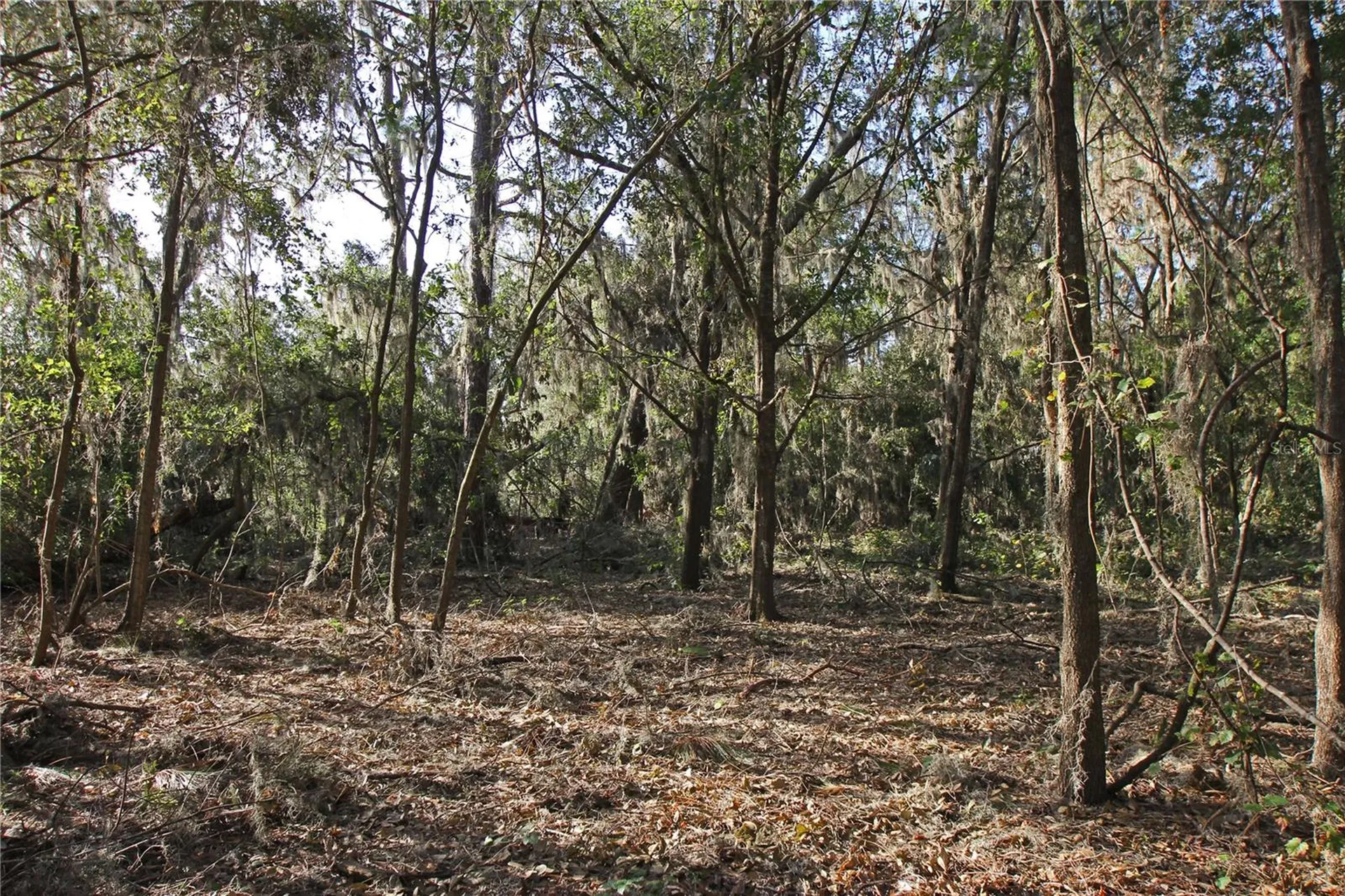 0 Patricia Drive Bartow FL 33830