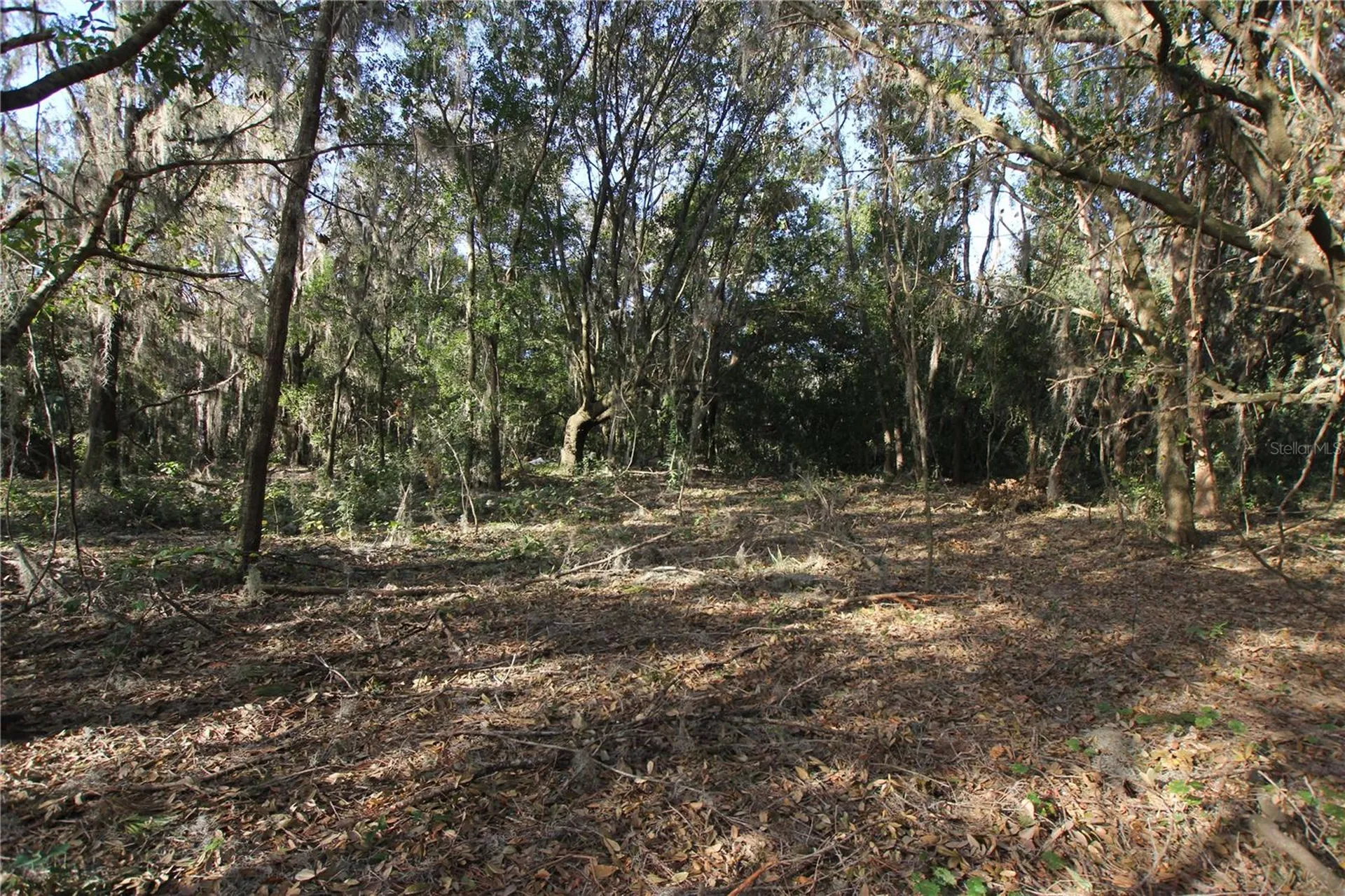 0 Patricia Drive Bartow FL 33830