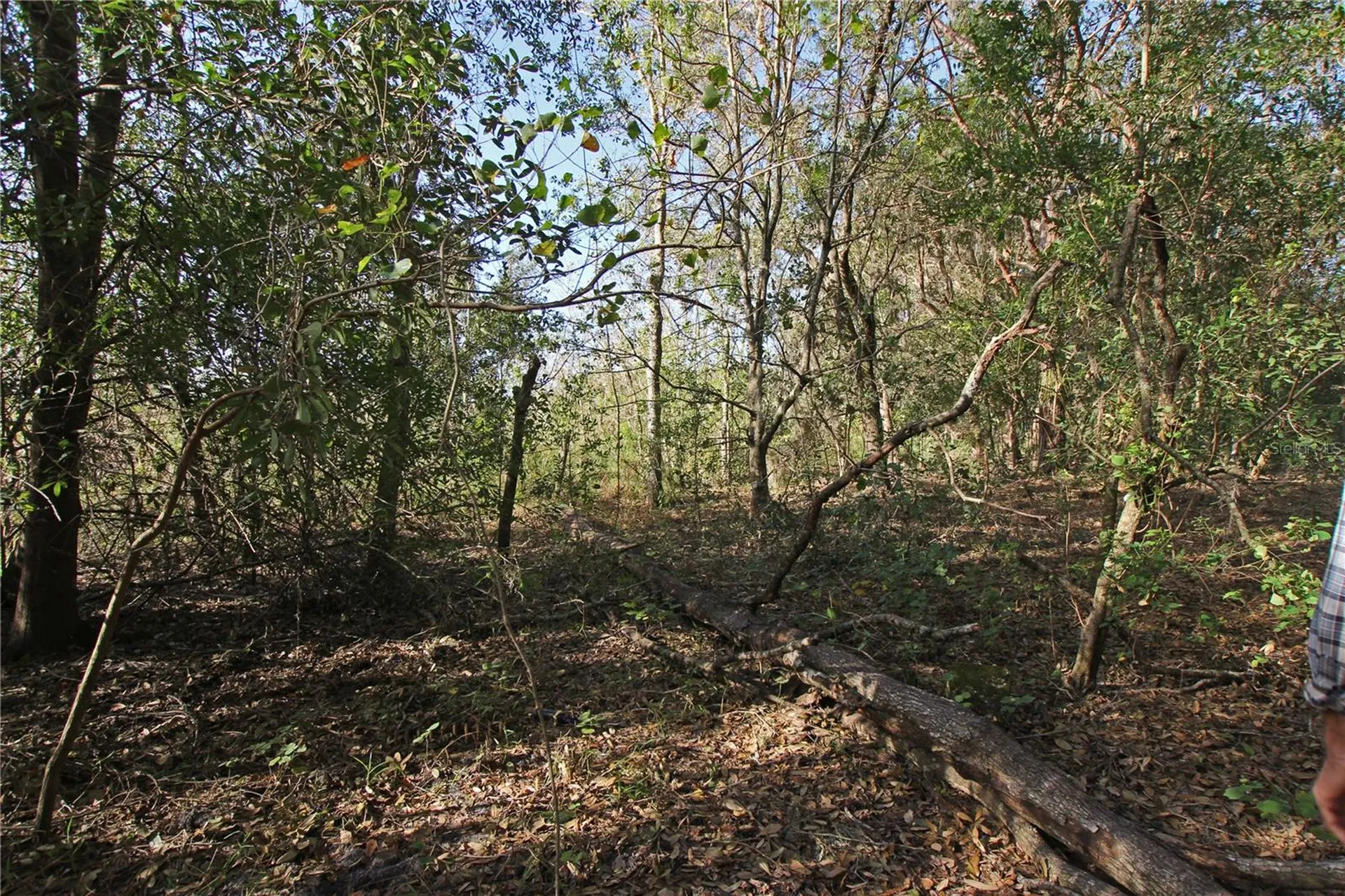 0 Patricia Drive Bartow FL 33830