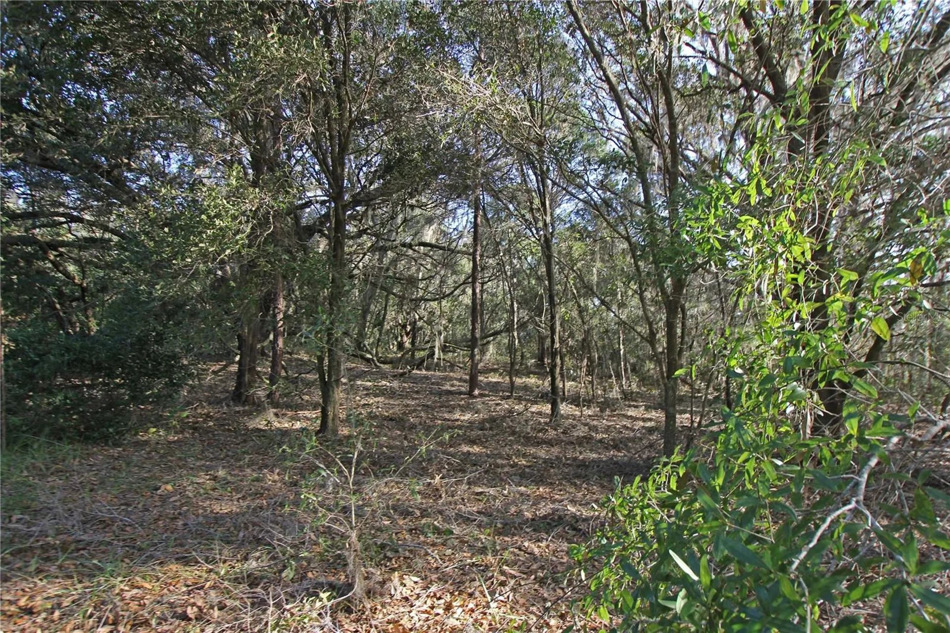 0 Patricia Drive Bartow FL 33830