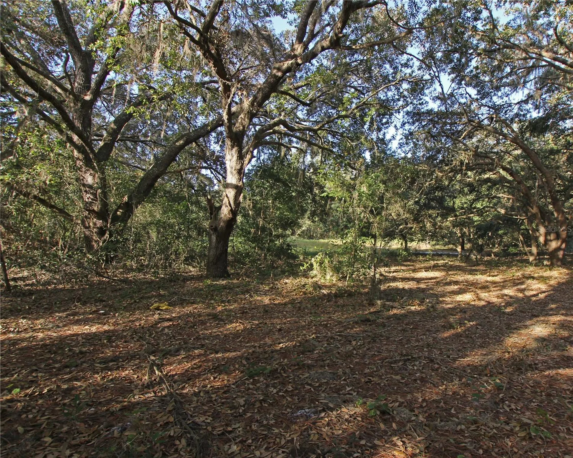 0 Patricia Drive Bartow FL 33830