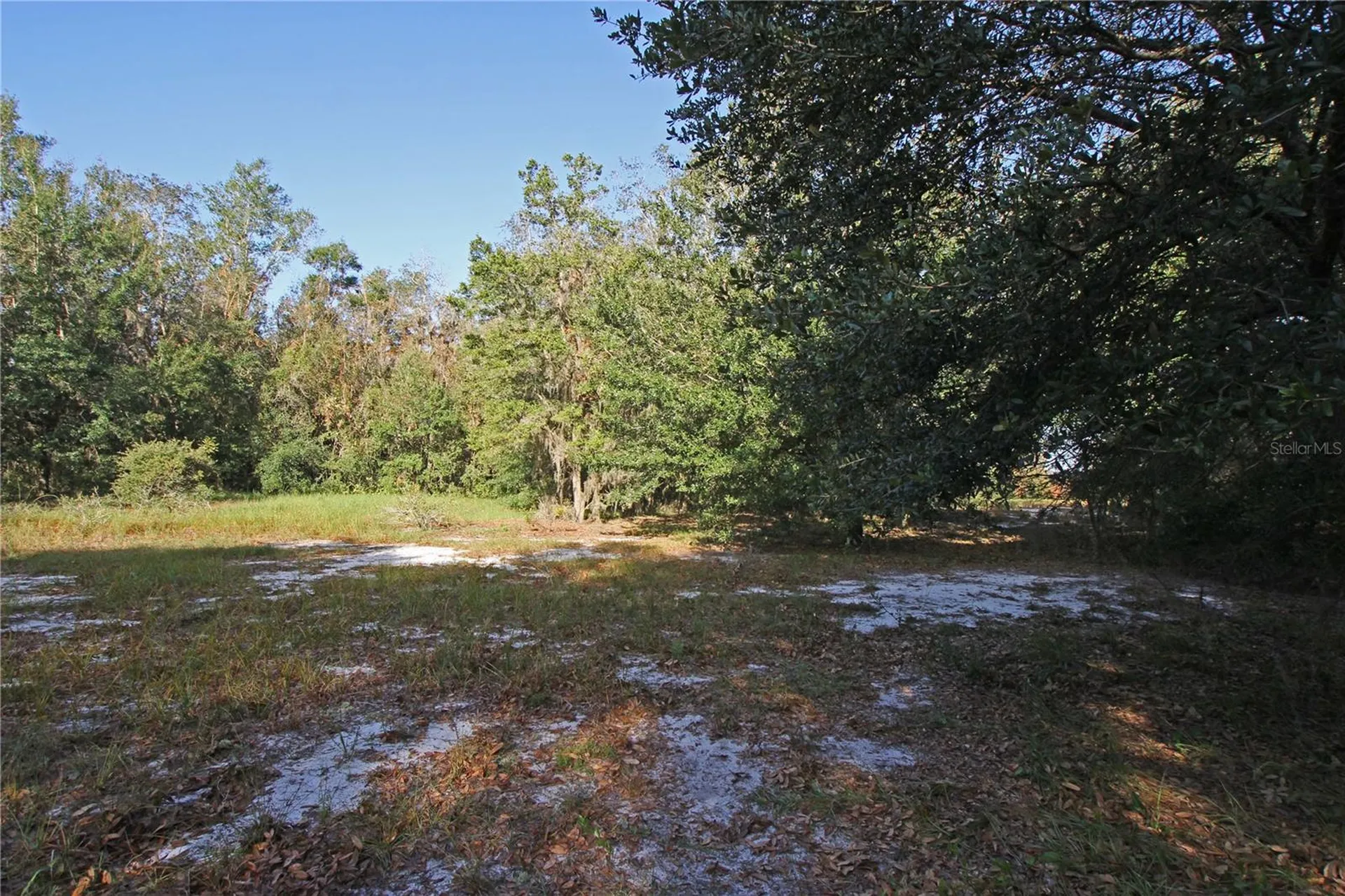 0 Patricia Drive Bartow FL 33830