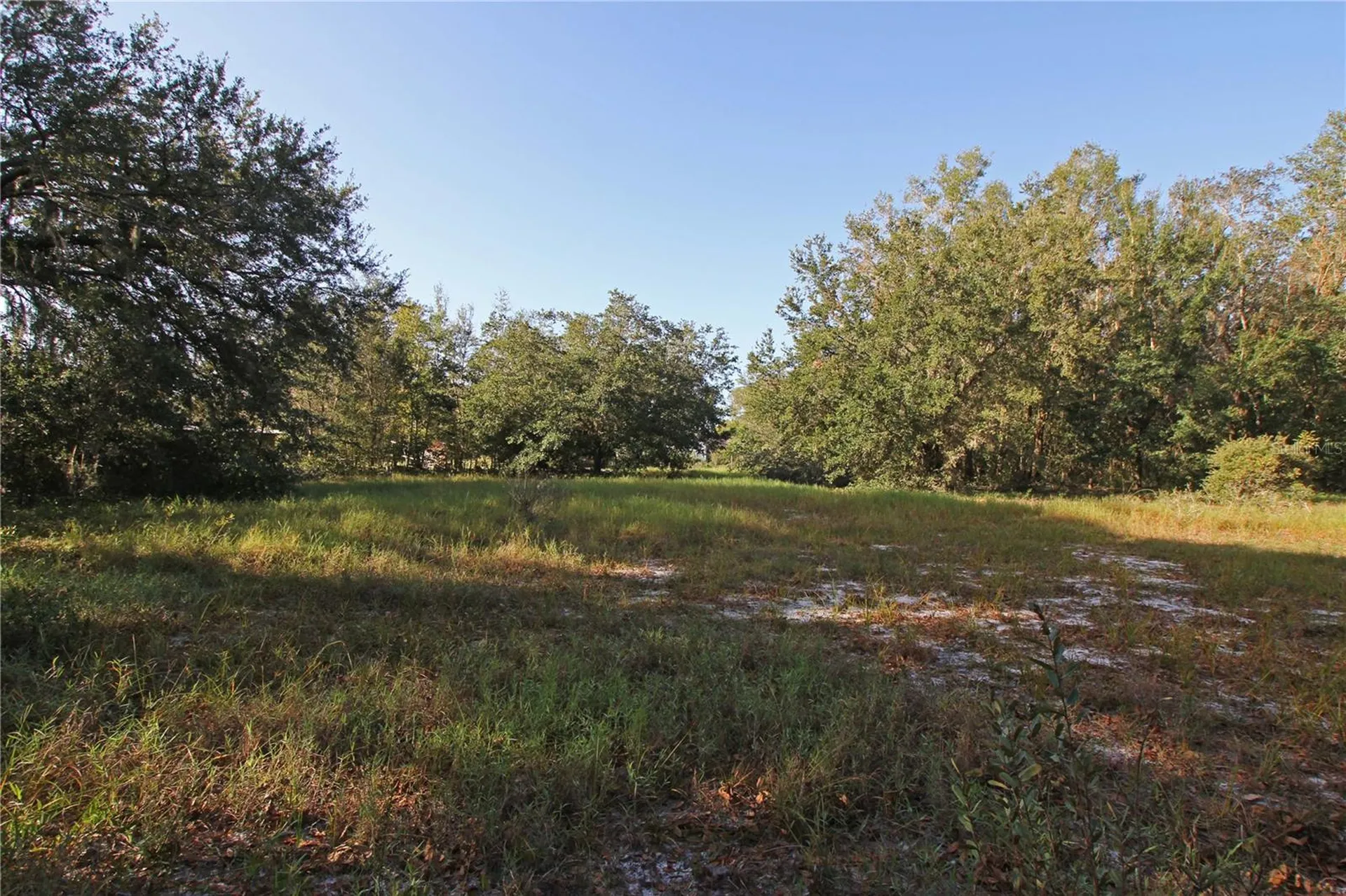 0 Patricia Drive Bartow FL 33830
